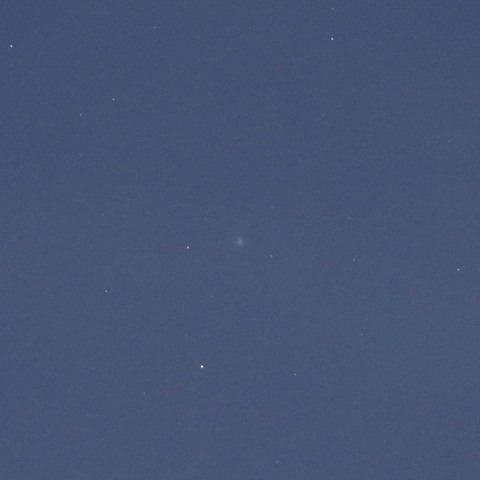 20200801 遠ざかるネオワイズ彗星