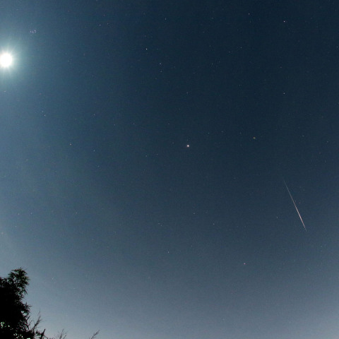 20200813 ペルセウス座流星群極大日