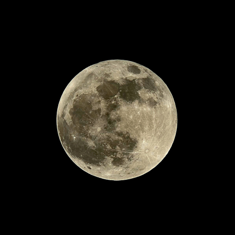 Beaver Moon（月齢15.3）