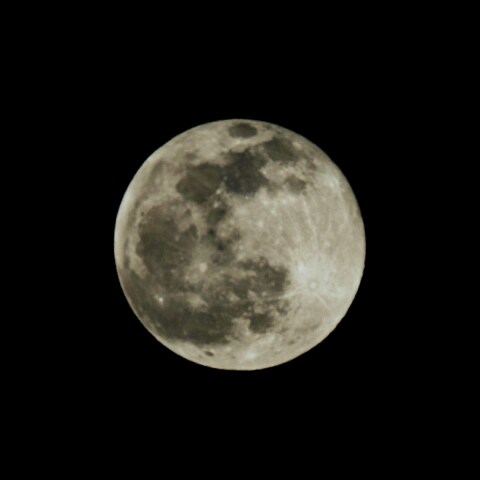 コールドムーン