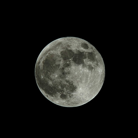 Beaver Moon（月齢14.6）