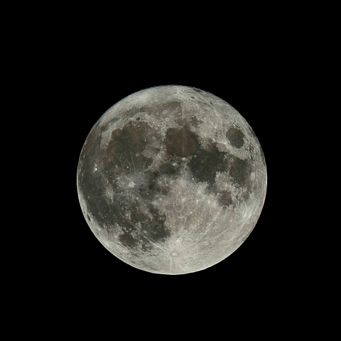 中秋の名月（Harvest Moon）