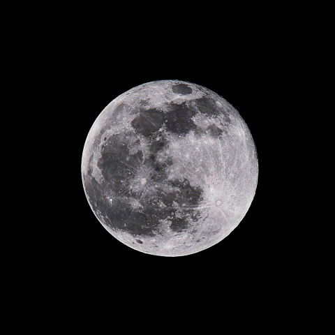 Pink Moon（月齢15.8）