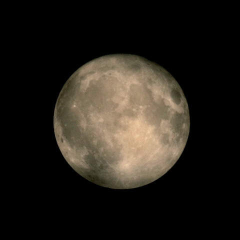 Buck Moon （月齢15.4）