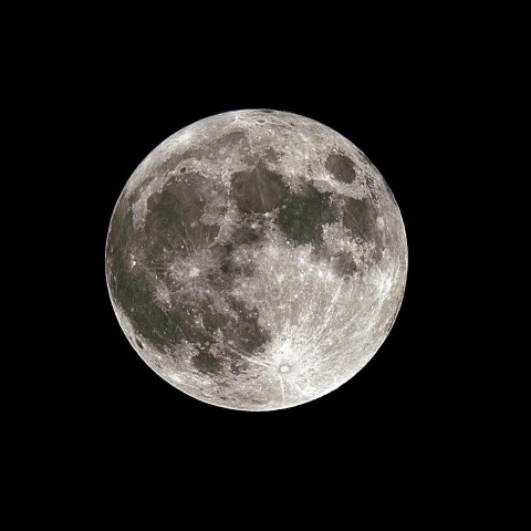 中秋の名月（Harvest Moon）