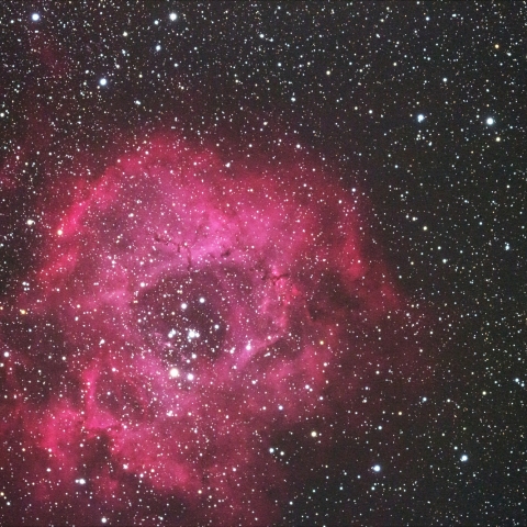 バラ星雲 NGC2237