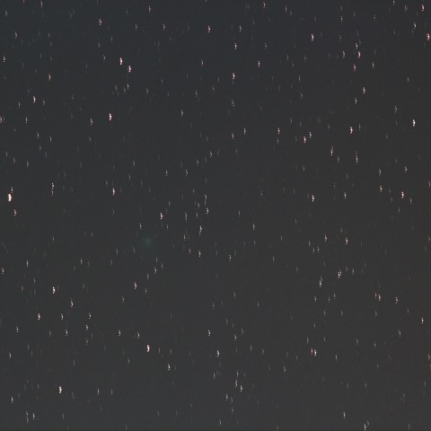 10/18のエンケ彗星