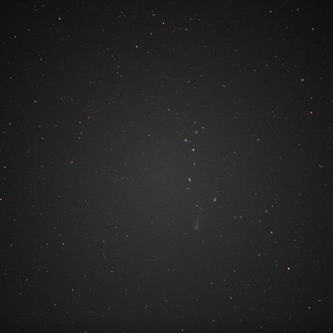 1028アイソン彗星