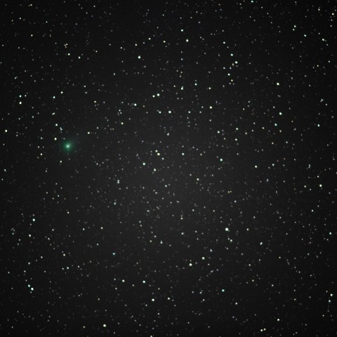 1028ラブジョイ彗星