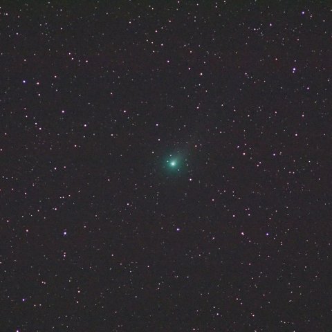 11/05ラヴジョイ彗星