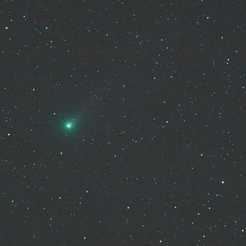 1109ラブジョイ彗星