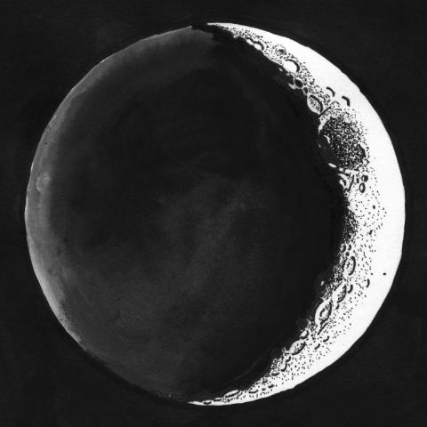 月齢2.8（スケッチ）