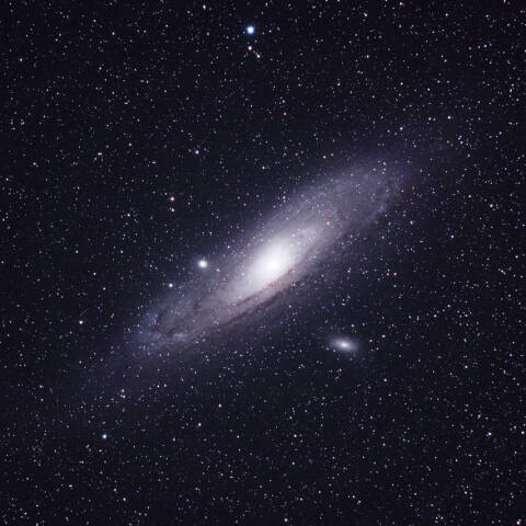 M31