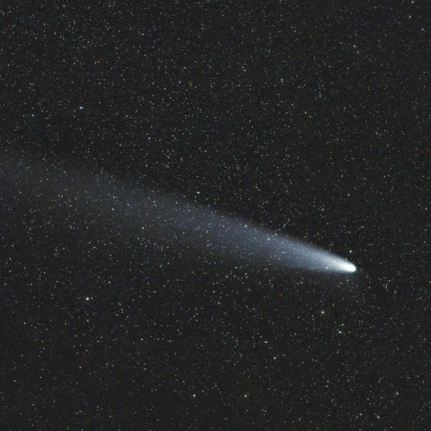 紫金山・アトラス彗星（C/2023 A3）