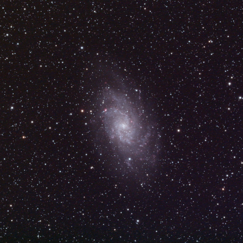 M33