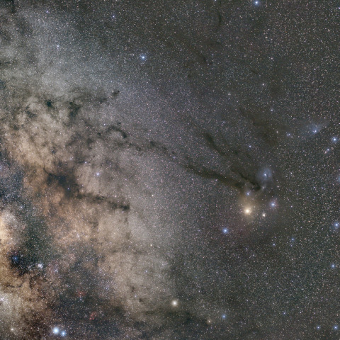 へびつかい座の暗黒帯