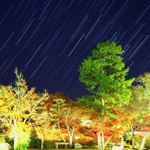 紅葉と登るオリオン