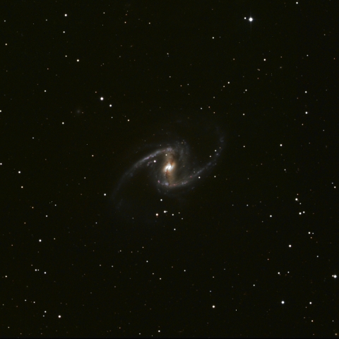 NGC1365