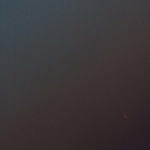 沈みゆくパンスターズ