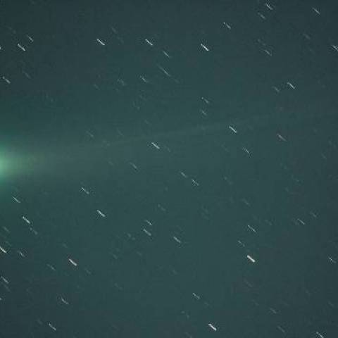 11/23ﾗﾌﾞｼﾞｮｲ彗星