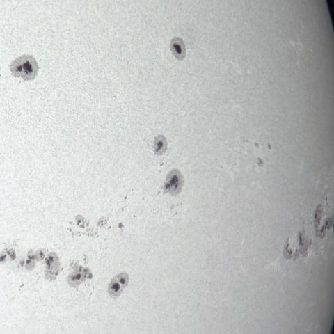 2024年8月1日の太陽黒点群