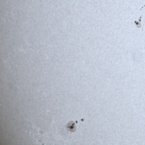 2024年8月9日の黒点群（その1）