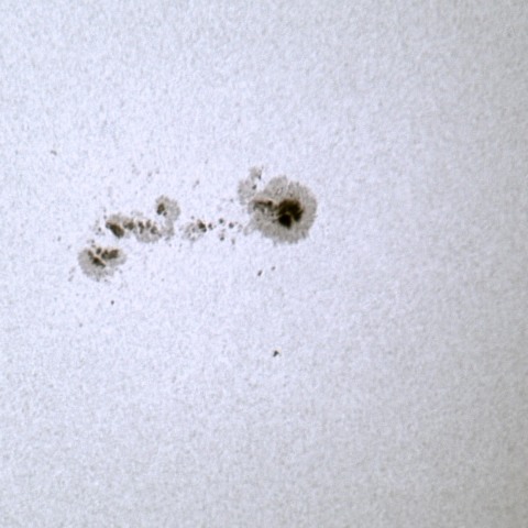 2025年1月22日の太陽黒点（3961）