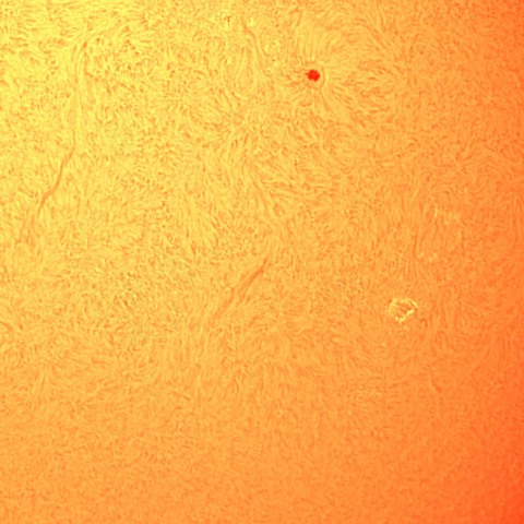 2025年5月21日のプロミネンス（拡大）