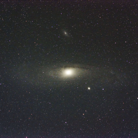 M31