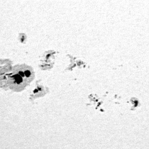 7月10日の大黒点群