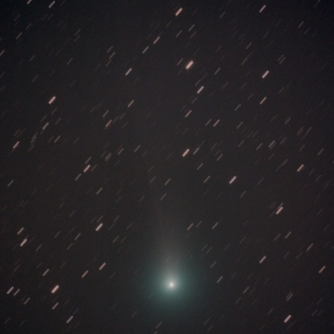 11/11未明のラブジョイ彗星