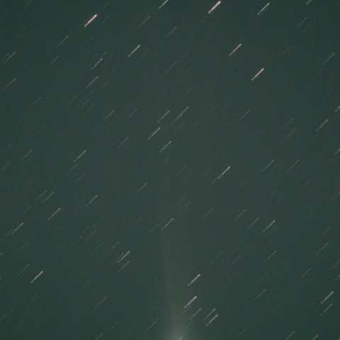 11/21日未明のラブジョイ彗星