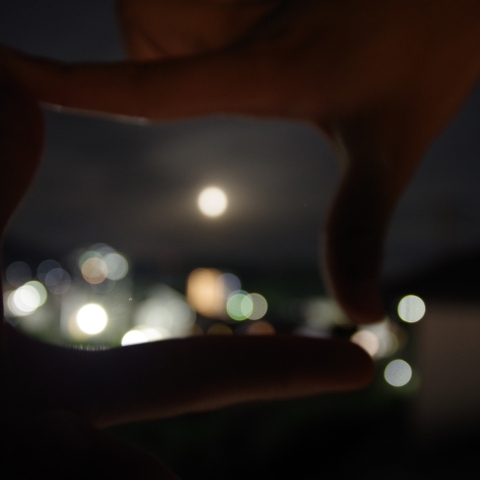 雄鹿夜霞月フレームイン