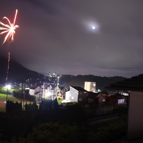 蝶鮫月に祝福を！