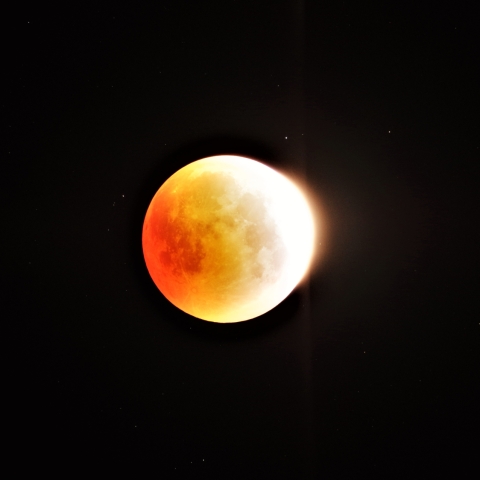 皆既月食直前！！