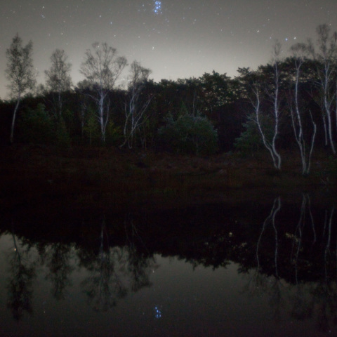 まいめ池のすばる