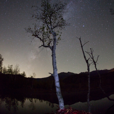 乗鞍銀河に佇む