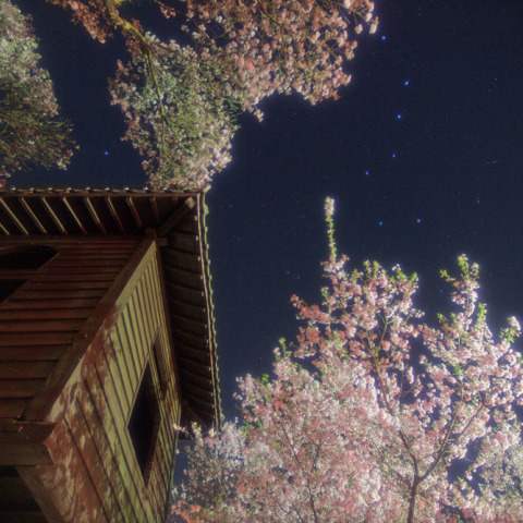 太鼓櫓の北斗七星