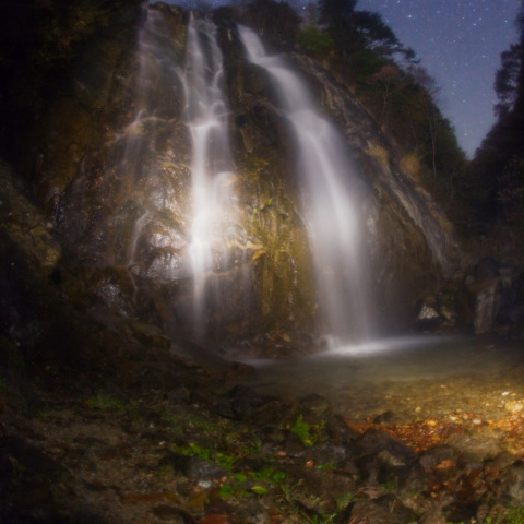 滝落ち葉の銀河