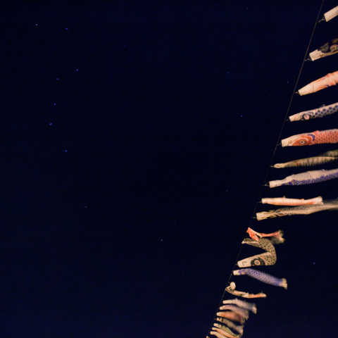 北斗の鯉のぼり