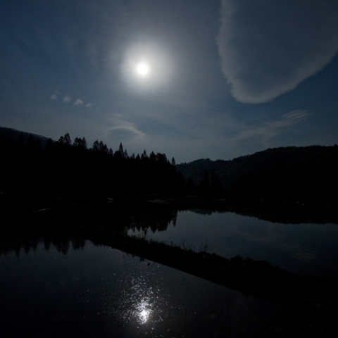 月映す青鬼棚田