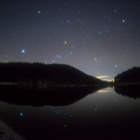 沈む冬星蓼ノ海