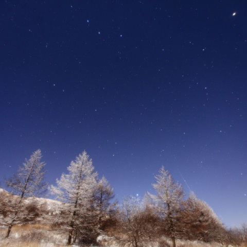 しぶんぎ座流星の霧氷