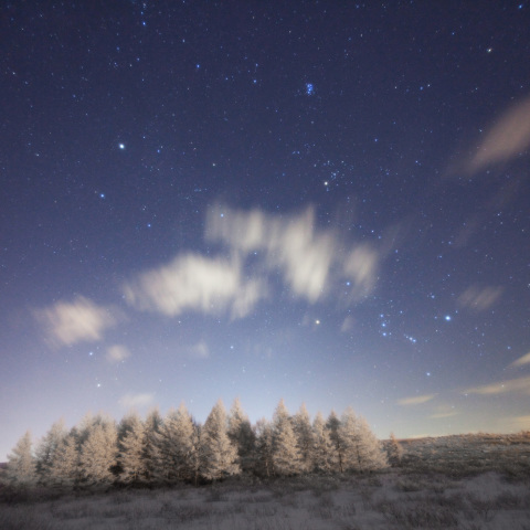 冬星霧氷の霧ケ峰