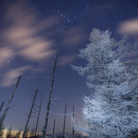 カシオペアの霧氷女王