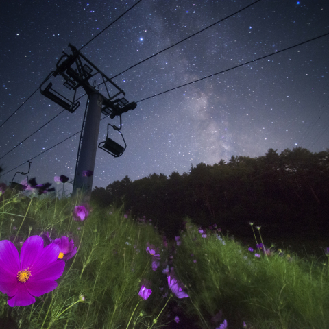宇宙(コスモ）への道