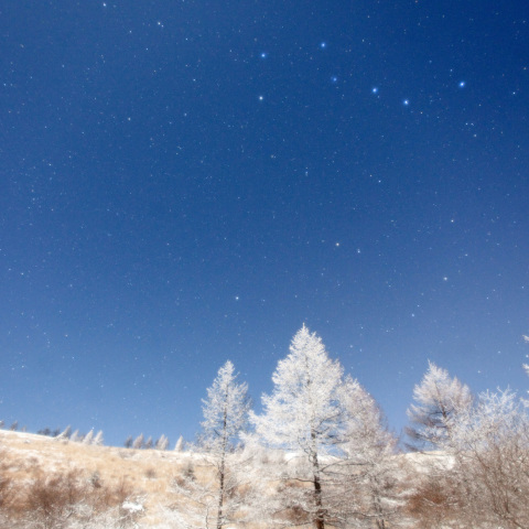 北斗の霧氷高原