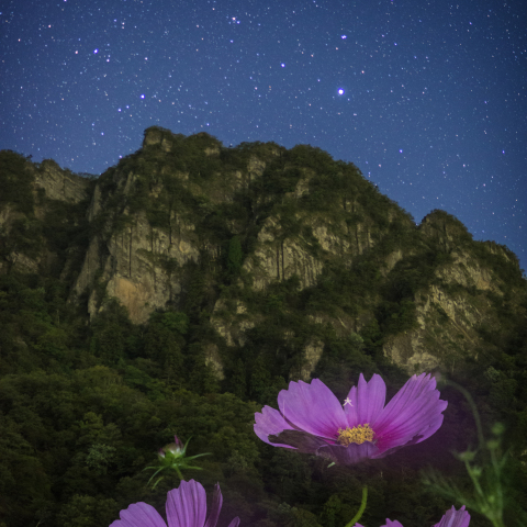 こと座の妙義山COSMOS(小宇宙)