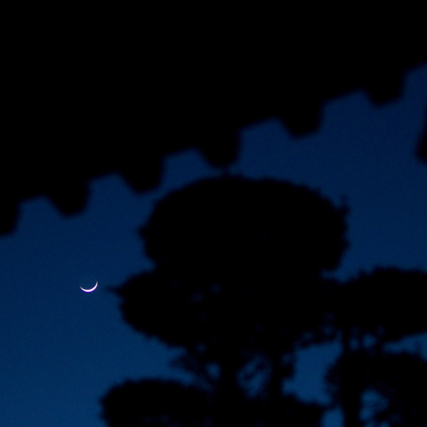 月と木星の伽藍