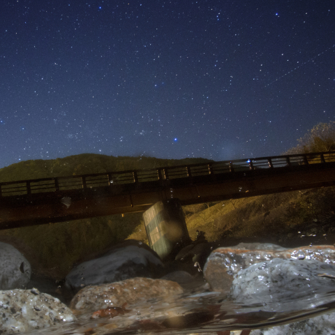 クラムボンの星空（半水面星景写真_サワガニ）